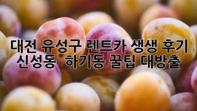 대전 유성구 렌트카 생생 후기🚗 신성동 & 하기동 꿀팁 대방출!